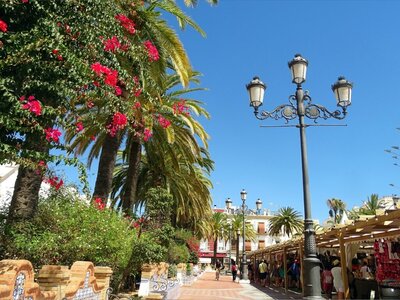 Street view of Ayamonte featuring palm trees and detailed lamp posts, Andalucia, Spain