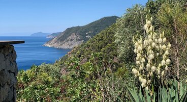 Liguria - The Cinque Terre (Self-Guided)