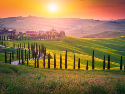 Summer rural landscape with grassy green fields absorbing golden glow from sun, cypress trees and curved road on the hills at sunset, Tuscany, Italy, Europe