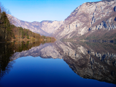 Bohinj lake with calm waters reflecting pine trees and mountains in distace, Slovenia