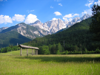 Kranjska Gora valley with long green grassy fields and pine covered mountains with snow-capped mountains in background, Slovenia