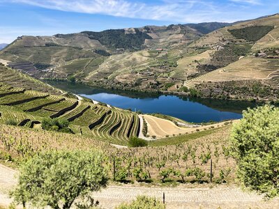 Douro Valley with river passing through centre, Portugal