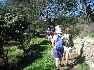 Group walking dirt pathway amidst tall trees and stone walls in Tavira, Portugal